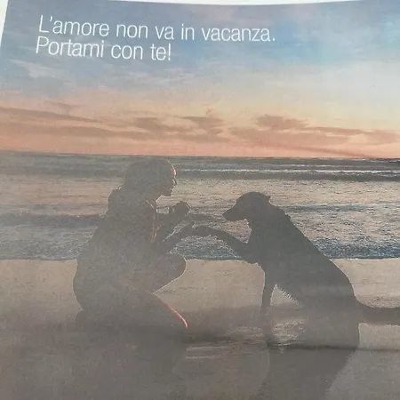 Διαμέρισμα Roxy